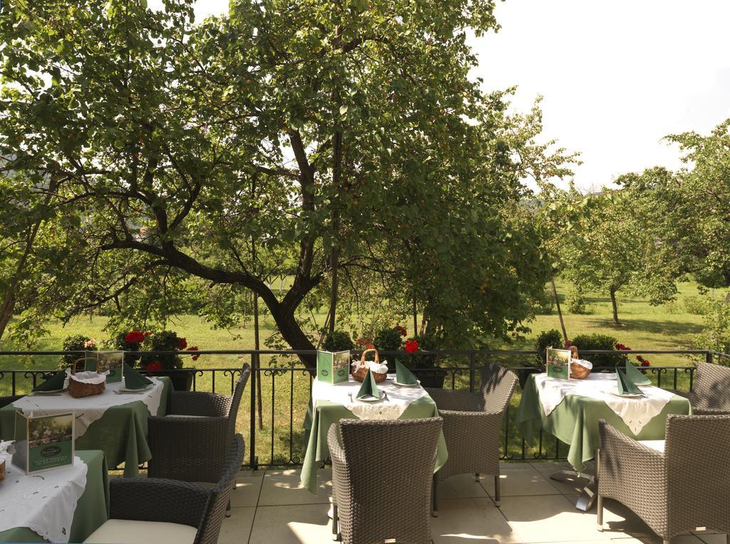 Donauhof - Hotel Garni ويسنكرخن ان دي المظهر الخارجي الصورة