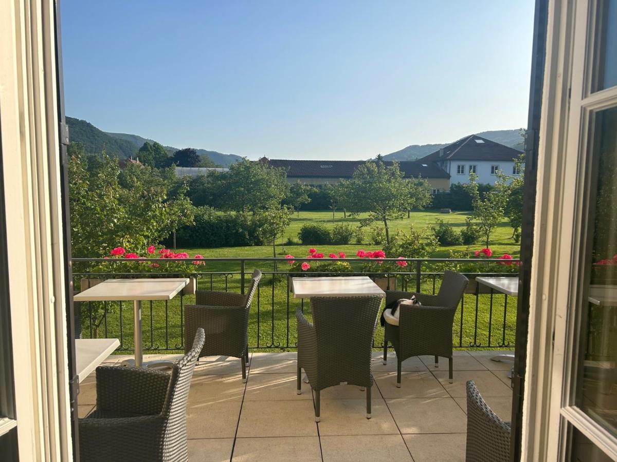 Donauhof - Hotel Garni ويسنكرخن ان دي المظهر الخارجي الصورة
